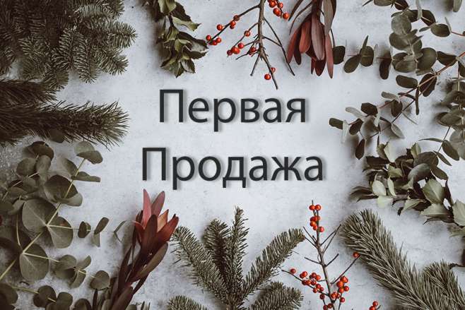 Как сделать первую онлайн продажу
