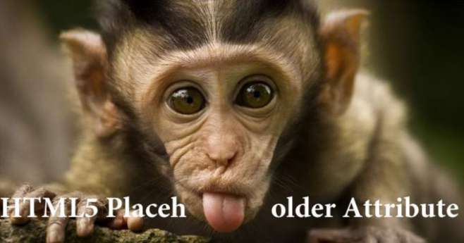 HTML5 Placeholder Attribute