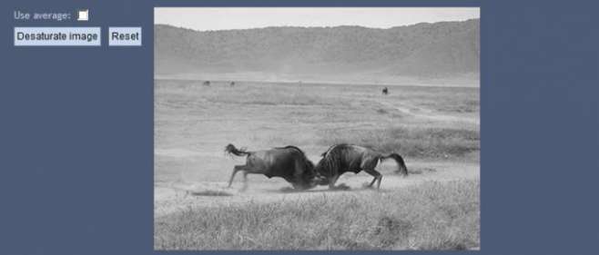 pixastic - JavaScript Image Processing Library