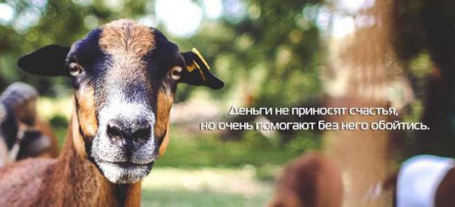 Как выбрать надежный интернет-магазин?