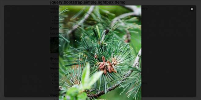 jquery bootstrap simple lightbox jquery bootstrap simple lightbox