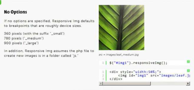 Responsive img - jQuery plugin